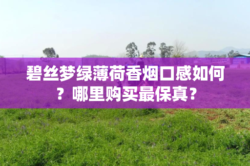碧丝梦绿薄荷香烟口感如何？哪里购买最保真？
